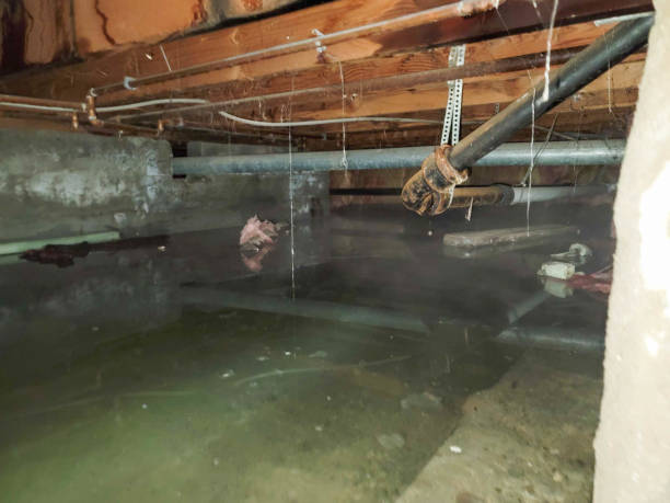 Phoenix, IL Water damage restoration Company